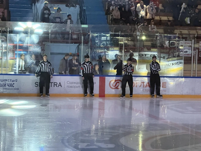 Судьи в хоккее следят за соблюдением правил и поддерживают порядок на льду | Источник: Сергей Петунин / YA62.RU