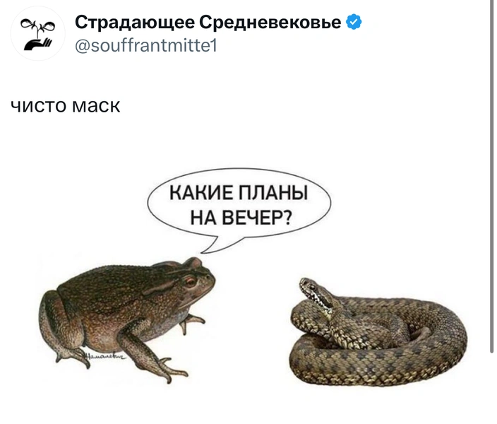 Источник: X (Twitter)