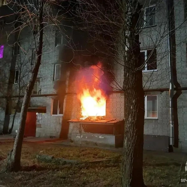 Возгорание ликвидировано дежурными сменами 42-й и 43-й пожарных частей. | Источник: ГУ МЧС по Ленобласти