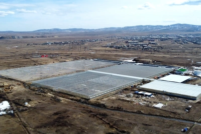 Крупнейший тепличный комплекс ДФО построят в Гусиноозерске