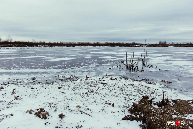 Песок добывают для строительных работ | Источник: Ирина Шарова / 72.RU