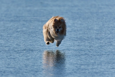 Wind to Spoil Warm Weekend in Irkutsk