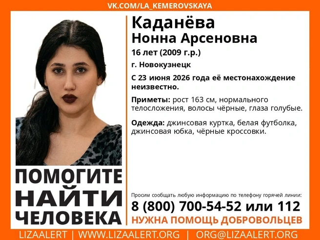 Источник: «Лиза Алерт»