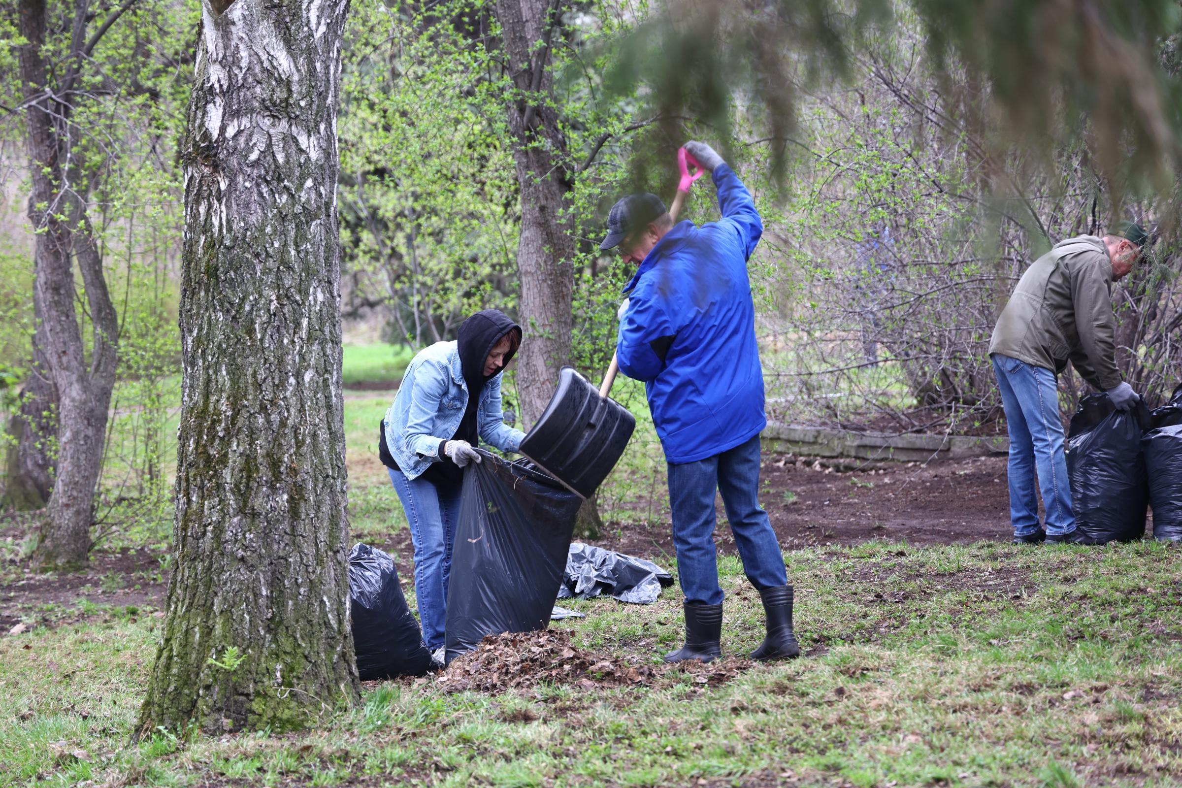 Архангелогородцев зовут на субботники: где получить мусорные мешки и инвентарь