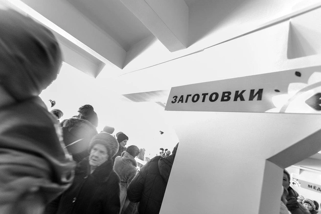 Источник: Ксения Зимина