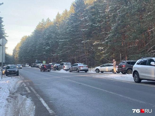 Люди приехали покататься на коньках | Источник: Полина Зайцева