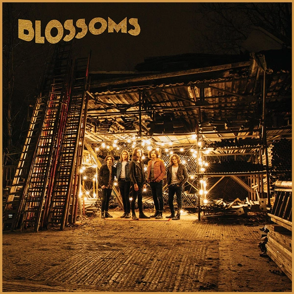 Blossoms выступят в Москве