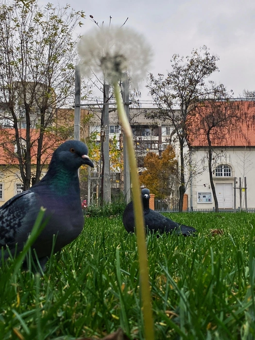 Источник: Юлия Воропаева