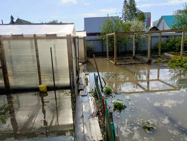Посадки в огороде оказались под водой | Источник: читательница НГС