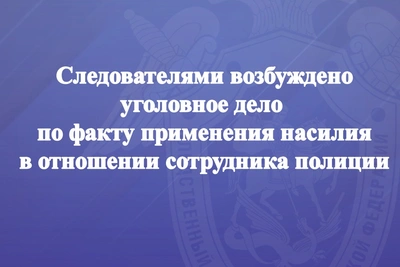 Возбуждено дело о нападении на полицейского в Долинске