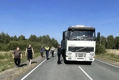Пьяный пешеход погиб под фурой в Зауралье