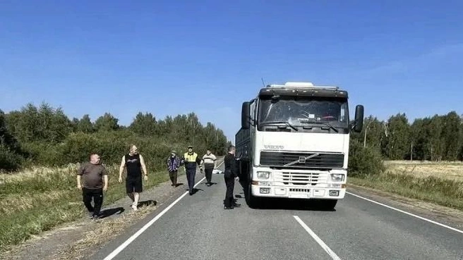 В Половинском округе пьяный мужчина шел по дороге и попал под колеса фуры | Источник: Отдел Госавтоинспекции УМВД России по Курганской области