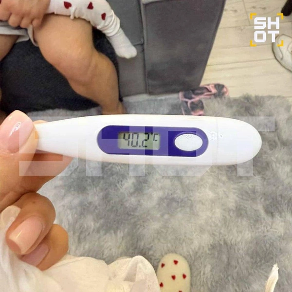 Источник: Shot / T.me