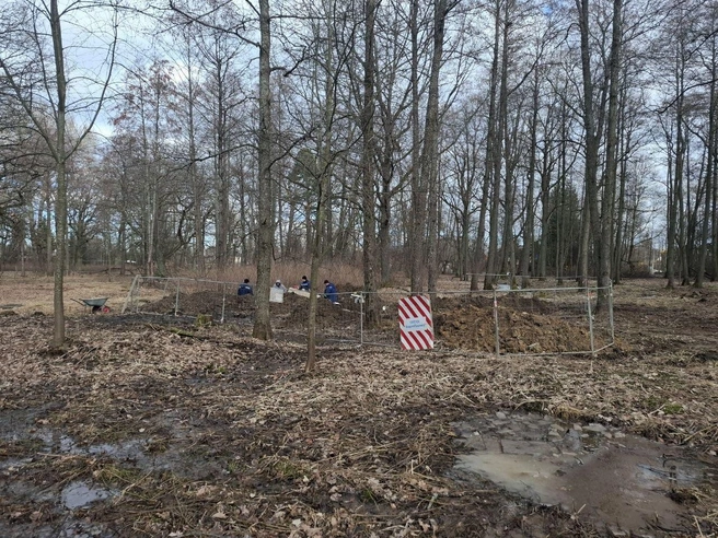 Петербуржцев напугал «подкоп» рядом с дубами Шишкина в усадьбе Мордвиновых. Энергетики устраняют аварию | Источник: ГАТИ