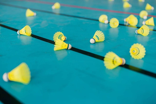 Источник: Ксения Зимина