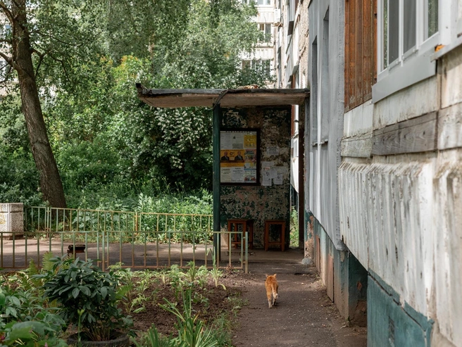 У подъездов — характерные клумбы, созданные руками местных жителей | Источник: Александр Куренной / 76.RU