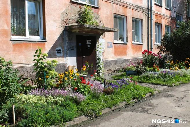Как думаете, куст на козырьке высадили специально, или вырос сам? | Источник: Игорь Епифанцев / NGS42.RU