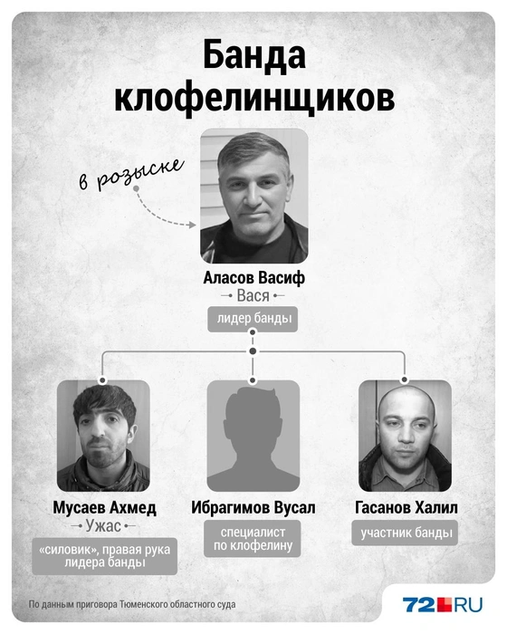 Структура банды | Источник: Дмитрий Гладышев / Городские порталы, МВД России