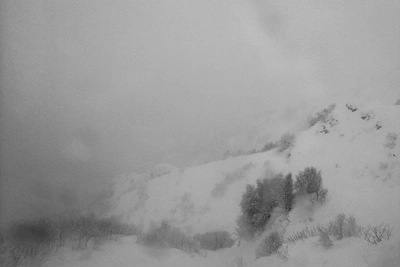 В Рязани ввели режим повышенной готовности из-за метели