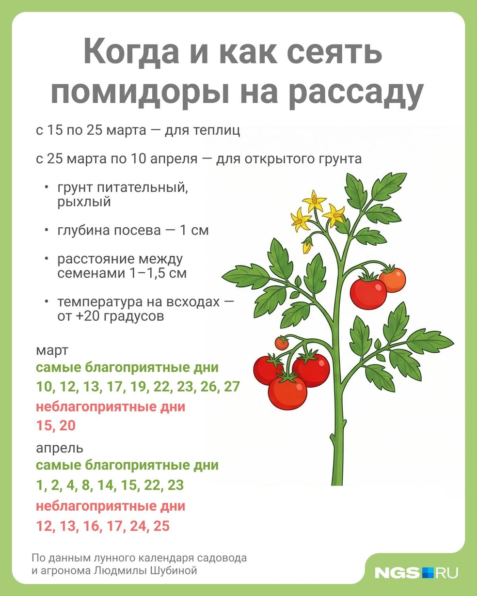 Источник: Юрий Орлов / Городские медиа