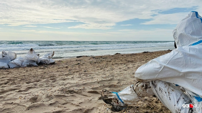 Рассказываем, как край ждал повторения «мазутной эпопеи», но его не случилось | Источник: Никита Зырянов / 93.RU