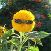 userpic__Вальтер