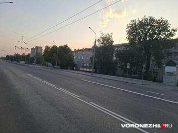 Источник: Алёна Воропаева / Voronezh1.ru