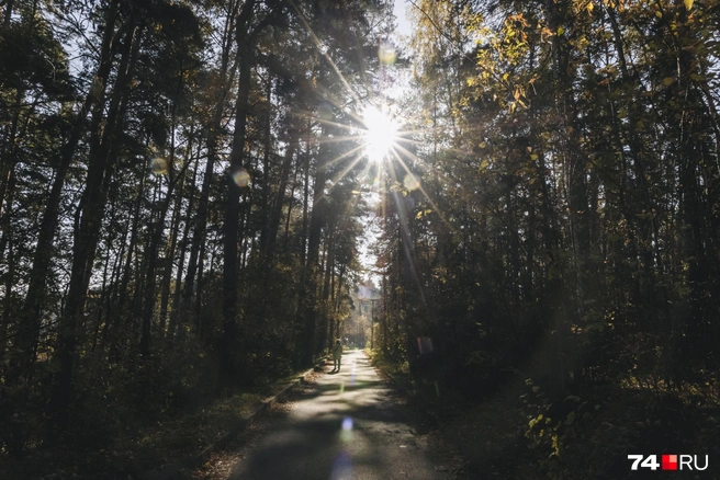 Между дачами и входом в санаторий — прогулочная тропа | Источник: Наталья Лапцевич