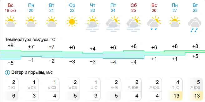 Солнечные дни так манят выйти на улицу | Источник: GISMETEO