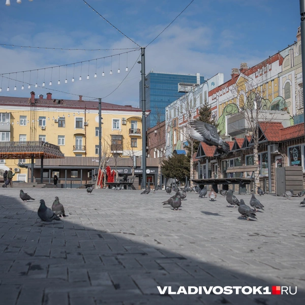 Источник: Елена Буйвол / VLADIVOSTOK1.RU
