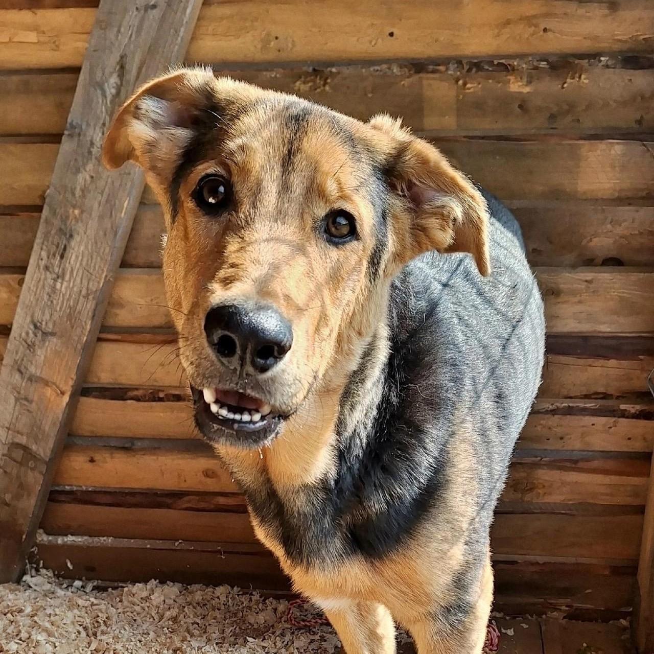 Юлия Иванова