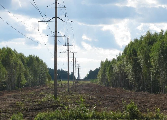 В «Красноярскэнерго» перевыполнили план по расчистке просек | ngs24.ru