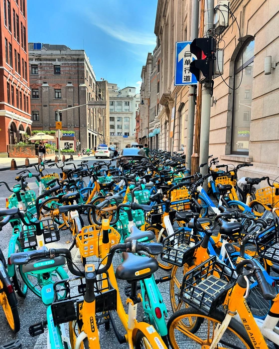 Прокатились бы? | Источник: Габриелла Захарова / 26.RU