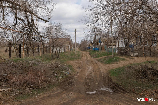 Тихая спокойная улица Калинина, где подростка унижали и снимали на видео | Источник: Алексей Волхонский / V1.RU