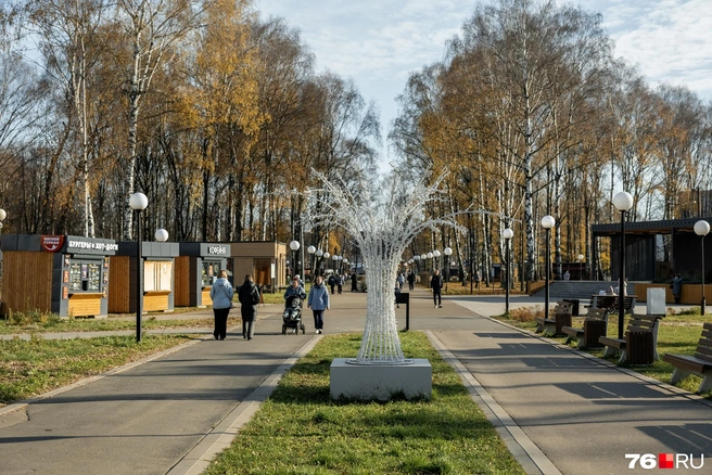 Впереди — центральная площадь, слева от которой ларьки со снеками, справа — новая сцена | Источник: Александр Куренной / 76.RU