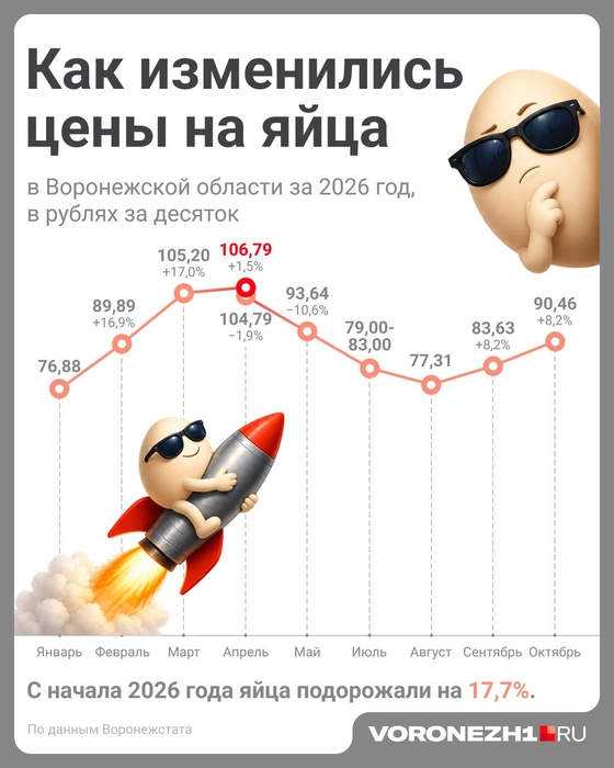 Как менялись цены на яйца в Воронежской области в 2026 году | Источник: Полина Авдошина / Городские медиа