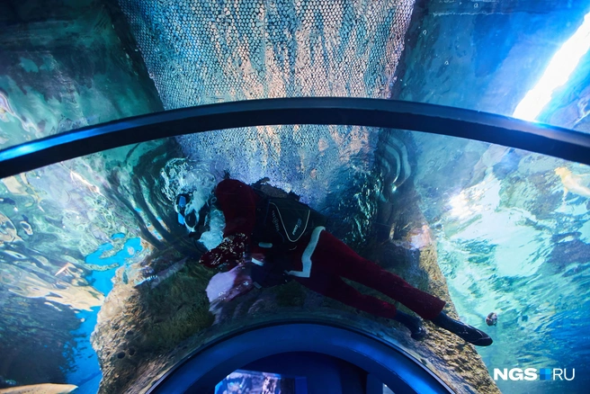 Туриста погрузили в море с пустым баллоном | Источник: Александр Ощепков / NGS.RU