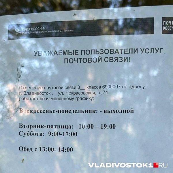 Источник: Елена Буйвол / VLADIVOSTOK1.RU