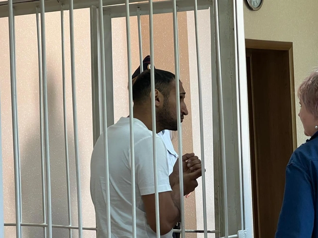 Мать и сына отправили под стражу на два месяца | Источник: Управление Судебного департамента в Новосибирской области