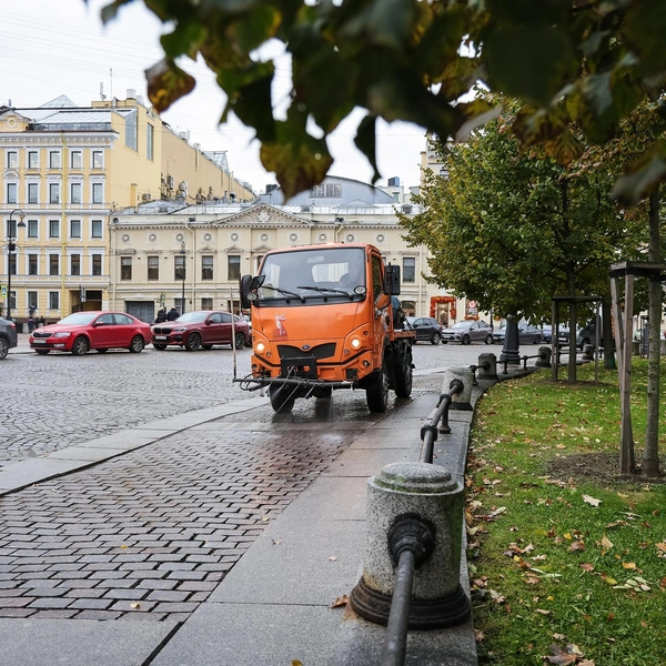 Источник: Комитет по благоустройству Петербурга
