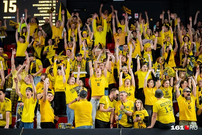 Волна пробежала по трибунам | Источник: Евгений Вдовин / 161.RU