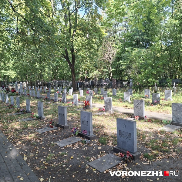 Источник: Алёна Воропаева / Voronezh1.ru