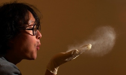 Роспотребнадзор: весенняя пыль не аллергенная, но вредная