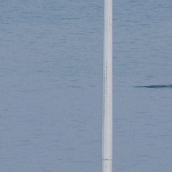 Источник: Игорь Бессараб / SHKOTA NEWS