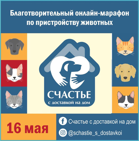 16 мая состоится 12-часовой онлайн-марафон «Счастье с доставкой на дом» по пристройству собак и кошек из приютов