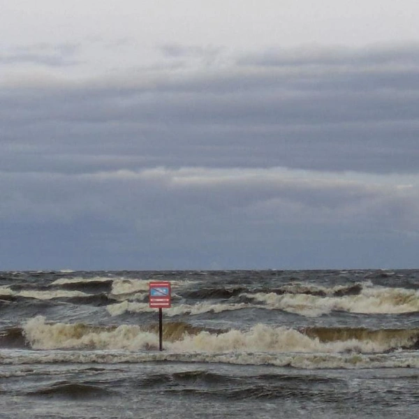 Источник:  читатель «Фонтанки» Сергей