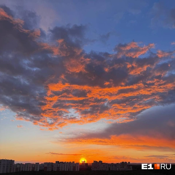 Источник: читательница E1.RU