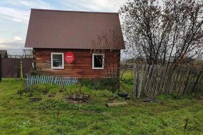 Медведь-убийца застрелен после возвращения на место