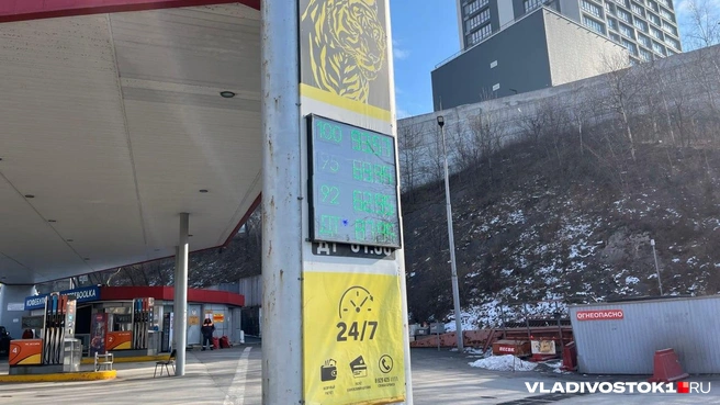 Источник: Елена Буйвол / VLADIVOSTOK1.RU