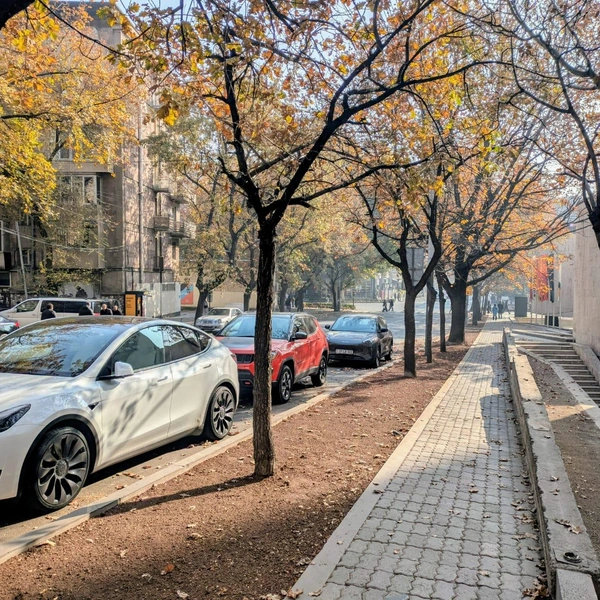 Источник: Оксана Витязь / SOCHI1.RU